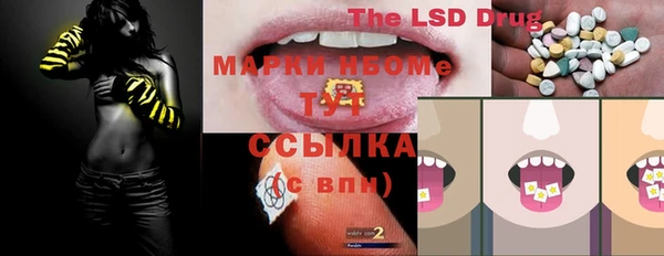 молекула духа Тайга
