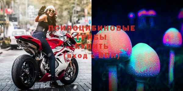 трава Сясьстрой