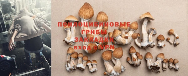 молекула духа Тайга