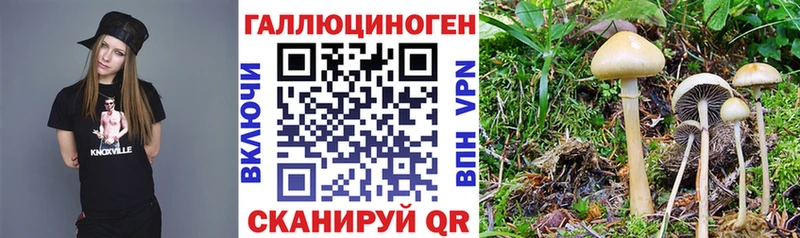 blacksprut как войти  наркота  Горно-Алтайск  Галлюциногенные грибы GOLDEN TEACHER 